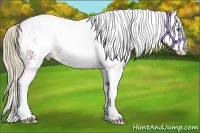 Horse Color:White Spotted Chestnut Splash 