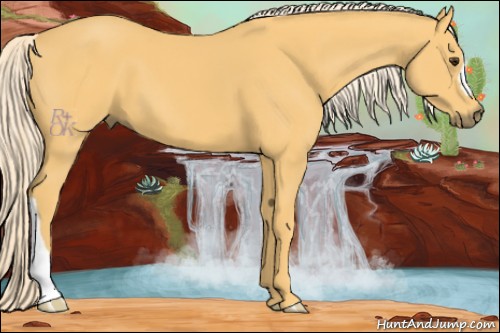 Horse Color:Palomino 