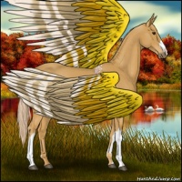 Horse Color:Palomino 