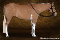 Horse Color:Silver Buckskin Tobiano Rabicano 