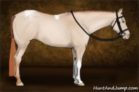 Horse Color:Buckskin Pearl Tobiano Rabicano