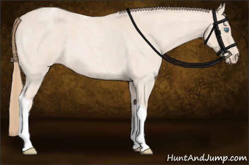 Horse Color:Perlino Roan Tobiano Rabicano 