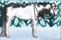 Horse Color:Black Splash Frame 