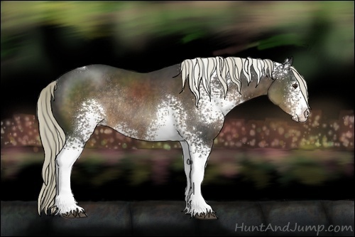 Horse Color:White Spotted Liver Chestnut Rabicano