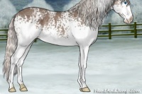 Horse Color:White Spotted Silver Blue Roan Splash 