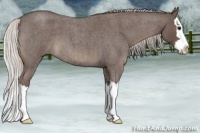 Horse Color:Silver Blue Roan Splash 