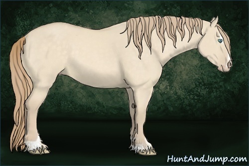 Horse Color:Chocolate Perlino Dun Sabino