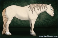 Horse Color:Chocolate Perlino Dun Sabino 