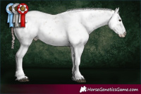 Horse Color:Chocolate Buckskin Dun Sabino Rabicano 