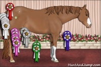 Horse Color:Chestnut Appaloosa