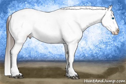 Horse Color:Liver Red Dun Splash Tobiano Blanket