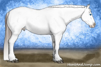 Horse Color:Liver Red Dun Splash Tobiano Blanket