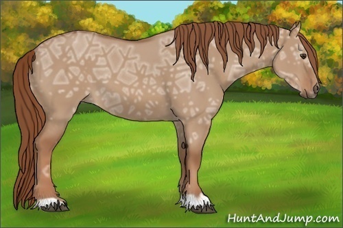 Horse Color:Red Dun Ice 