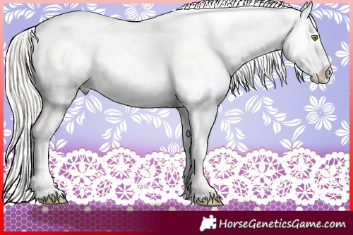 Horse Color:Silver Bay Roan Pearl Appaloosa 