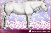 Horse Color:Silver Bay Roan Pearl Appaloosa 