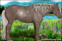 Horse Color:Silver Black 