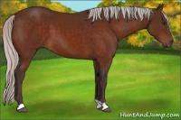 Horse Color:Silver Brown 