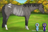 Horse Color:Grullo Roan Blanket Rabicano