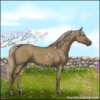 Horse Color:White Spotted Chocolate Palomino Dun 