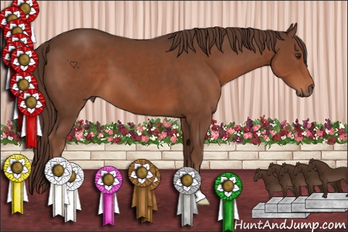 Horse Color:Liver Chestnut 