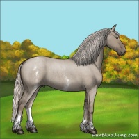 Horse Color:White Spotted Silver Grullo Roan 