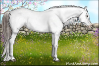 Horse Color:Liver Red Roan Blanket 