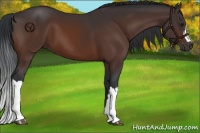 Horse Color:Brown 