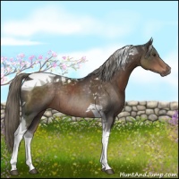Horse Color:Liver Chestnut Tobiano Rabicano 