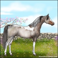 Horse Color:White Spotted Liver Chestnut Tobiano Rabicano