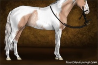 Horse Color:Silver Sable Champagne Sabino Tobiano Rabicano