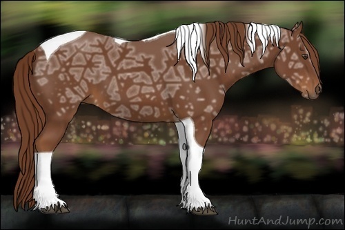 Horse Color:Chestnut Ice Tobiano 