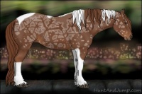 Horse Color:Chestnut Ice Tobiano 