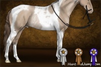 Horse Color:Grullo Pearl Tobiano Rabicano