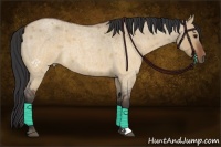 Horse Color:Brown Roan Dun 