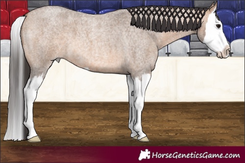 Horse Color:Brown Roan Dun Splash 