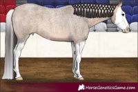 Horse Color:Brown Roan Dun Splash 