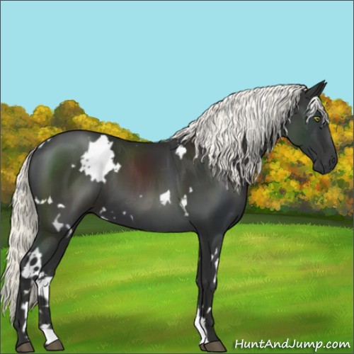 Horse Color:White Spotted Liver Chestnut Mushroom 