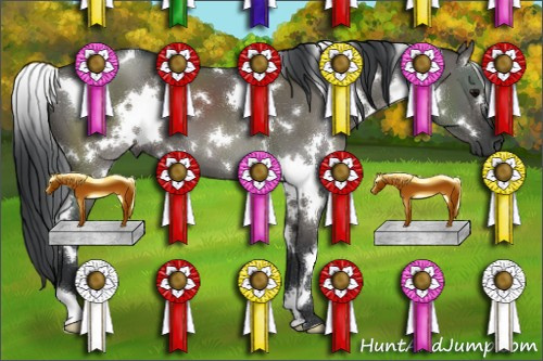 Horse Color:White Spotted Grullo 