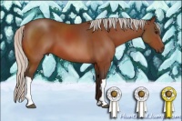 Horse Color:Silver Bay 