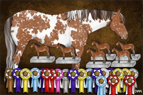 Horse Color:White Spotted Bay Appaloosa 