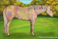 Horse Color:Nacre Palomino 