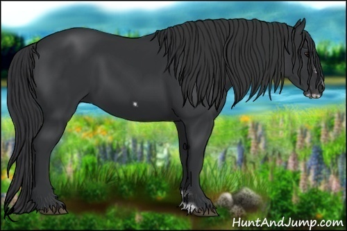 Horse Color:Black Frame