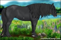 Horse Color:Black Frame 