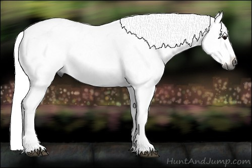 Horse Color:Gray Black Frame 