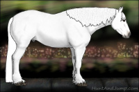 Horse Color:Gray Black Frame 