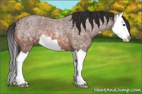Horse Color:Bay Ice Roan Splash 