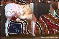 Horse Color:Bay Roan Tobiano Frame Appaloosa