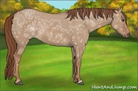 Horse Color:Red Dun Ice 