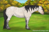 Horse Color:Bay Ice Roan Dun