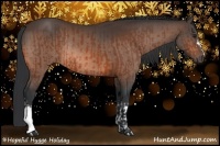 Horse Color:Brown Rabicano  and Brown Rabicano 